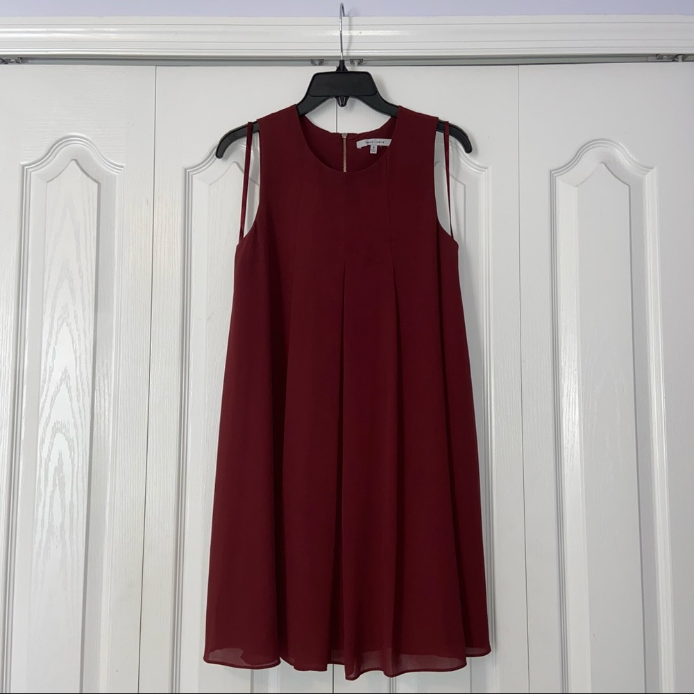 Naked Zebra (Francesca’s) Maroon Shift Dress (S)